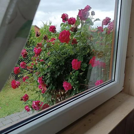 Sielanka Holiday home