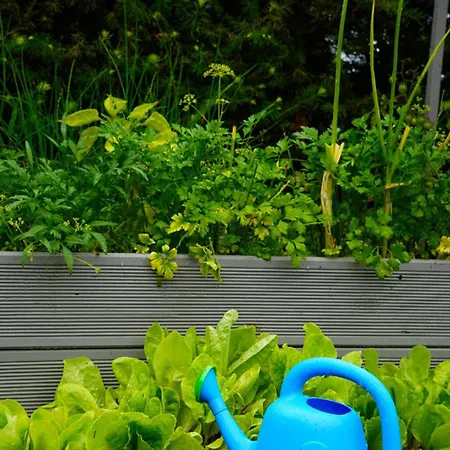 Sielanka 別荘 ルシノボ