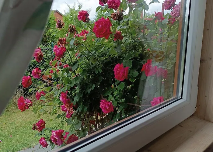 Sielanka Holiday home