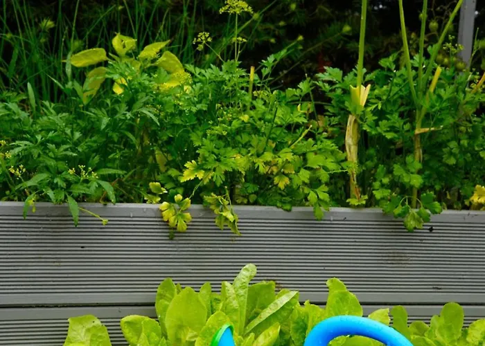 Sielanka Dom wakacyjny Rusinowo (Slawno)